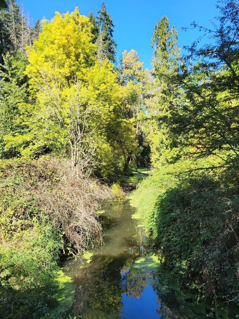 Where Exactly This Sanctuary Is Located