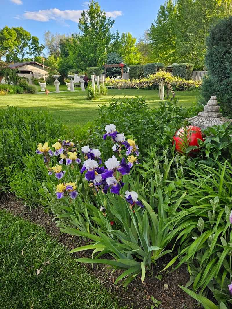 Where Green Dreams Flourish in Billings