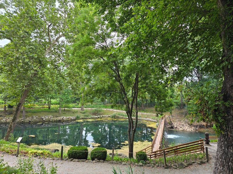 Where History and Nature Converge at 1537 Co Rd 210 Where History and Nature Converge at 1537 Co Rd 210