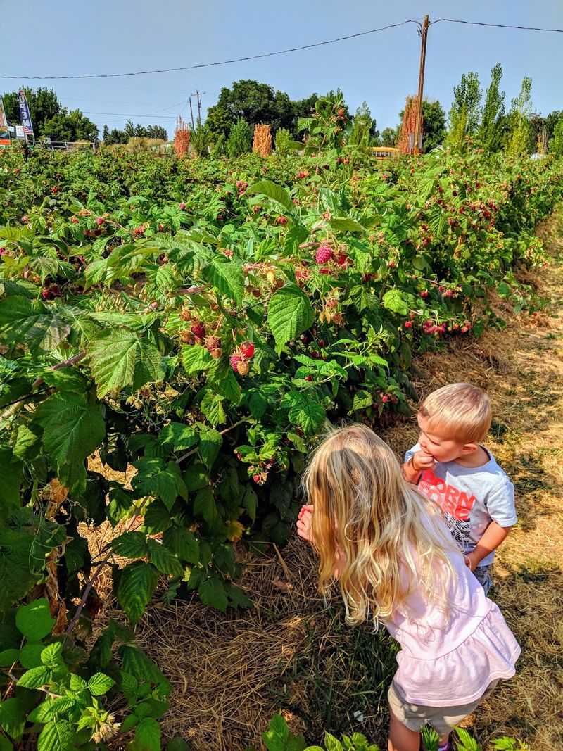 Where It All Began: The Farm's Family Roots Where It All Began: The Farm's Family Roots