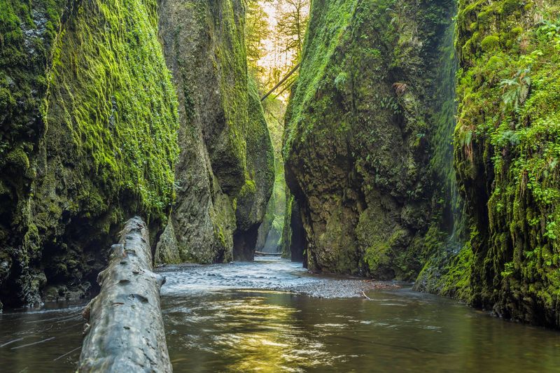 Where Oneonta Gorge Actually Is