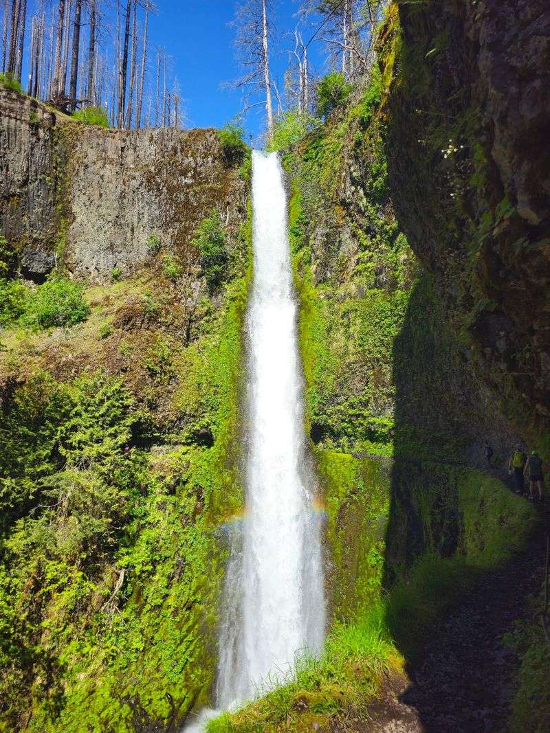 Where Tunnel Falls Actually Is Where Tunnel Falls Actually Is