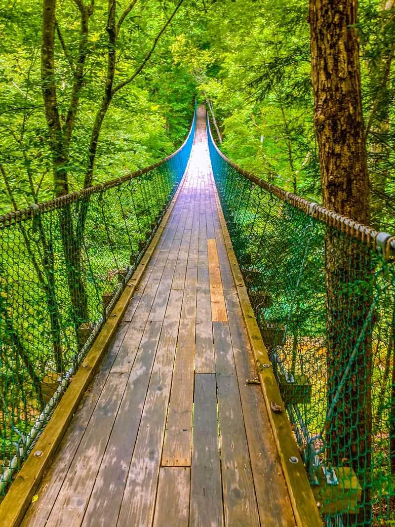 Where the Adventure Begins in Sevierville Where the Adventure Begins in Sevierville