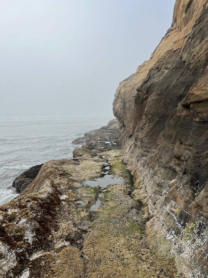 Where the Beach and History Meet: Hug Point State Recreation Site