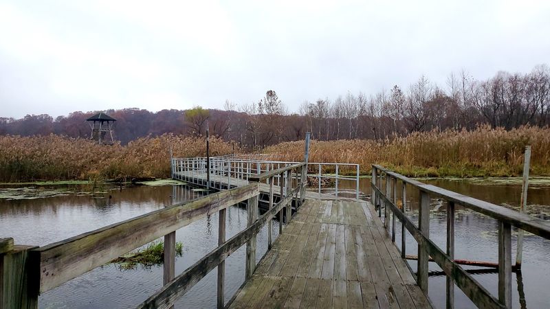 Where the Boardwalk Begins: Park Location and Access Where the Boardwalk Begins: Park Location and Access