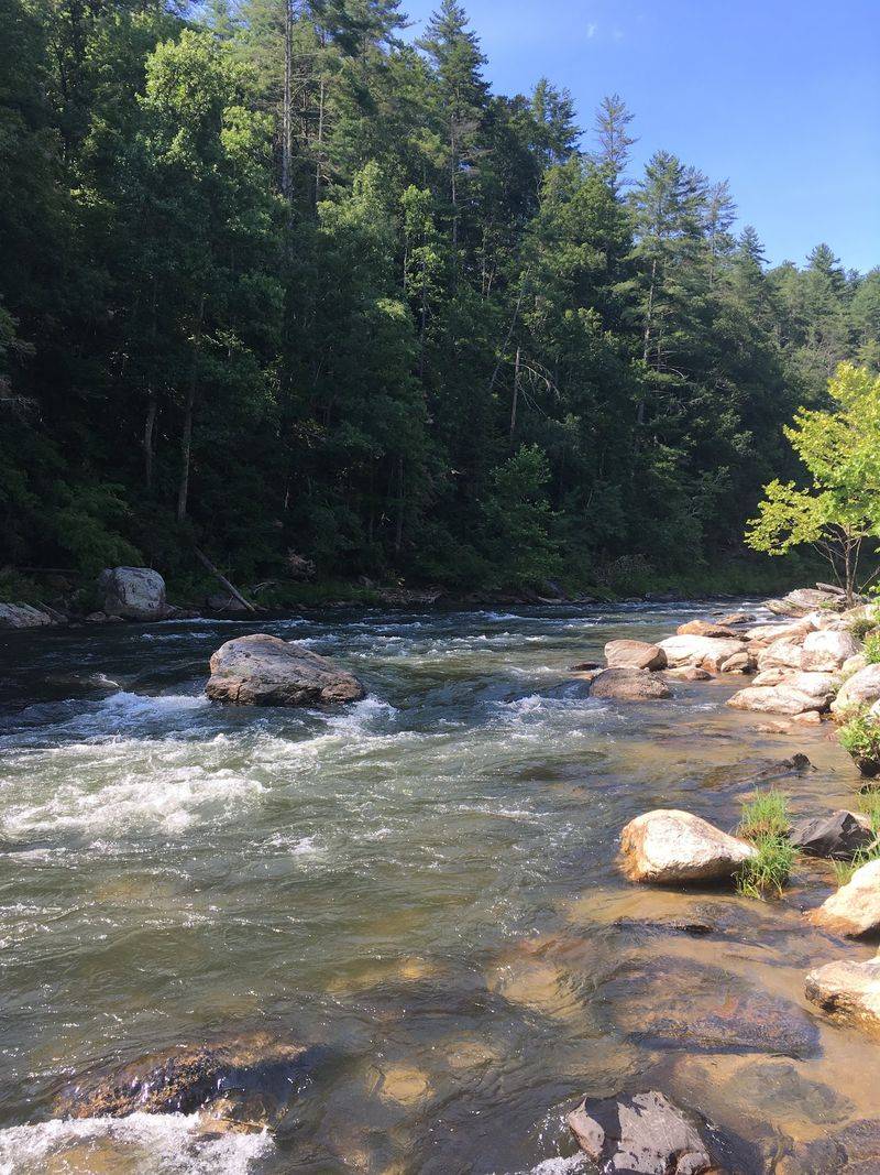 Where the Chattooga River Sets the Mood Where the Chattooga River Sets the Mood