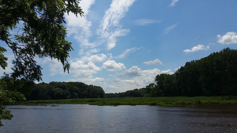 Where the Creek Meets the Marsh: Location and First Impressions Where the Creek Meets the Marsh: Location and First Impressions