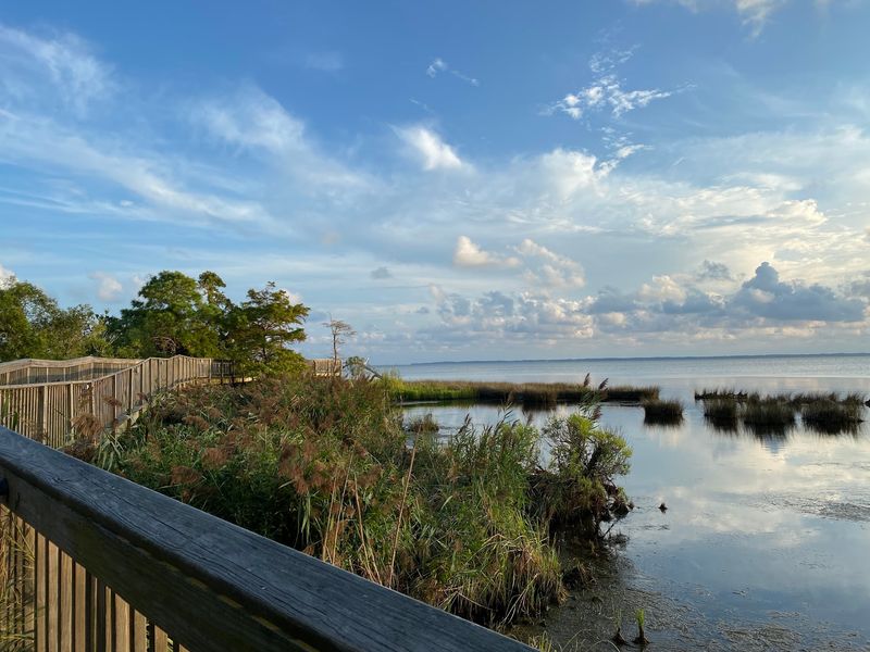 Where the Currituck Sound Meets Maritime Forest Where the Currituck Sound Meets Maritime Forest