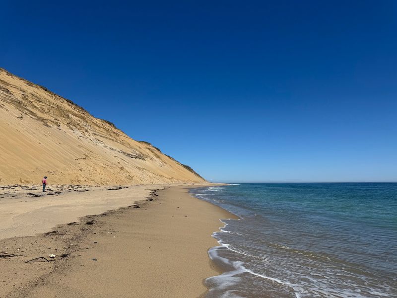 Where the Dunes Meet the Atlantic in Truro