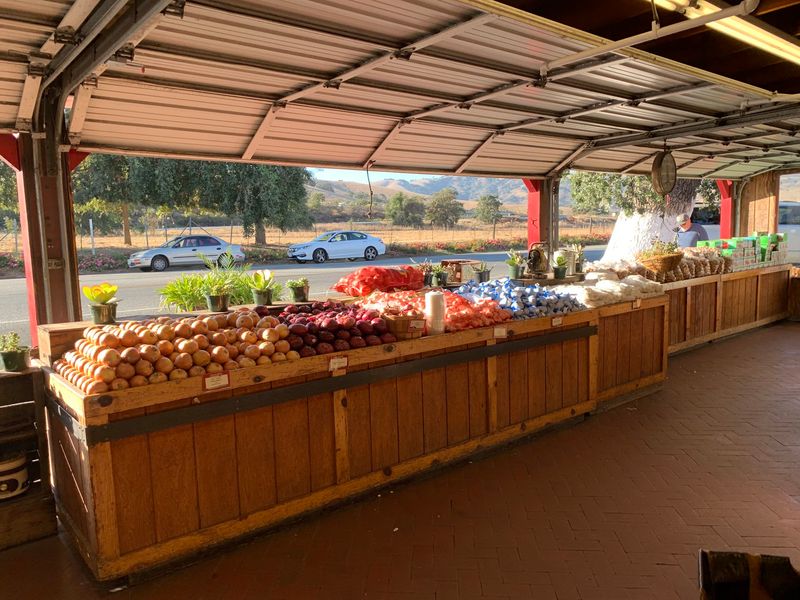 Where the Highway Slows Down for Fruit Where the Highway Slows Down for Fruit