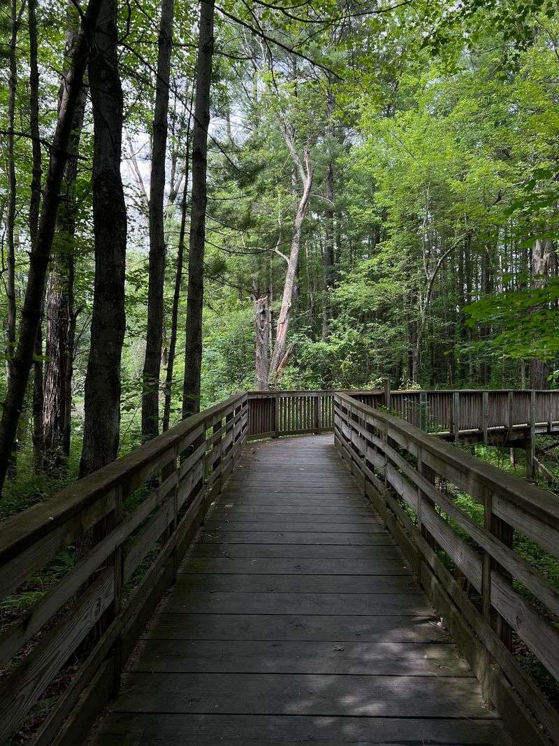 Where the Loop Begins in Hadley Where the Loop Begins in Hadley