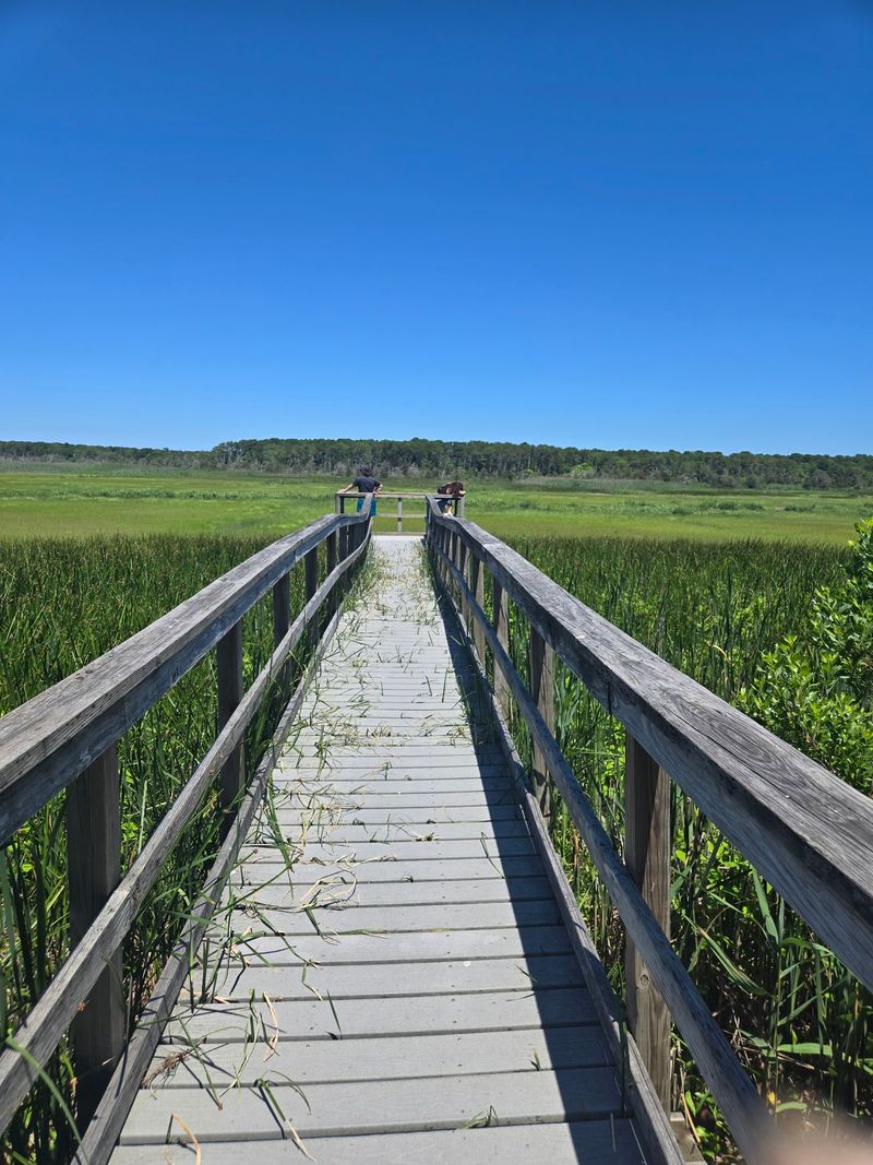 Where the Marsh Meets Yarmouth Port