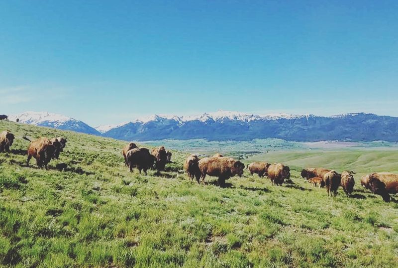 Where the Ranch Sits and How to Find It Where the Ranch Sits and How to Find It