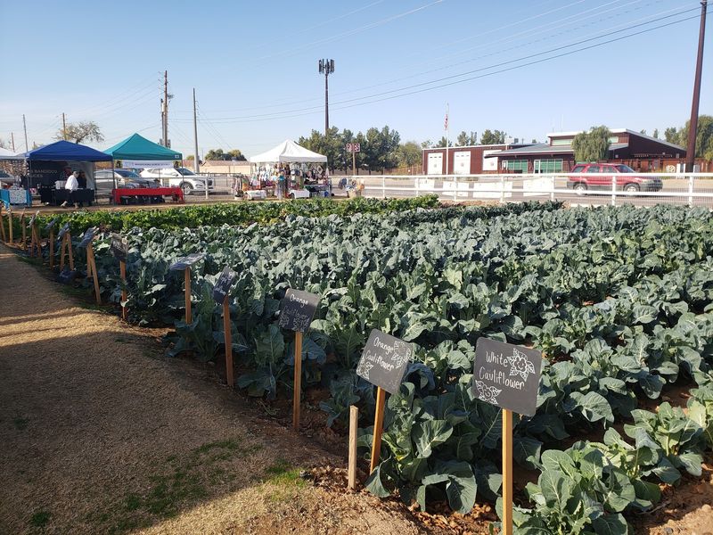 Where the Ranch Sits in Laveen Village