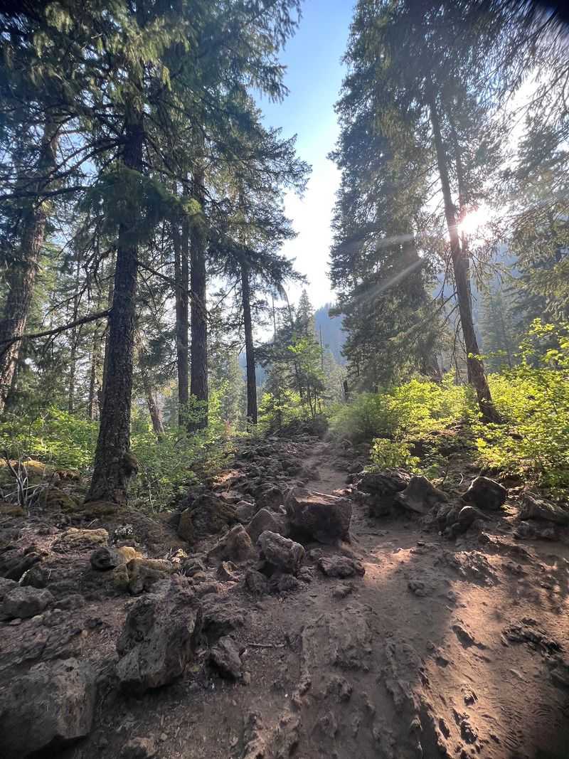 Where the Trail Begins: Getting to Tamolitch Falls Where the Trail Begins: Getting to Tamolitch Falls