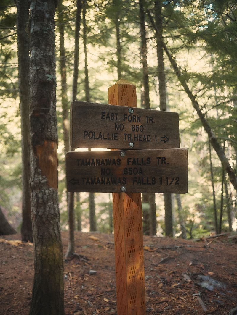 Where the Trail Begins: Polallie Trailhead on the East Fork Hood River Where the Trail Begins: Polallie Trailhead on the East Fork Hood River