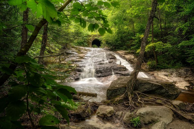 Where the Trail Begins in Ashfield