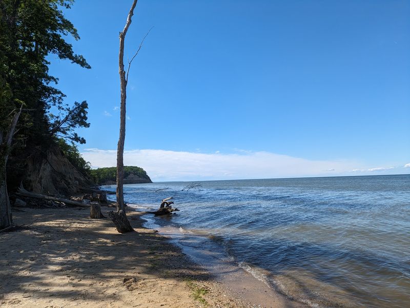 Where the Trail Meets the Bay
