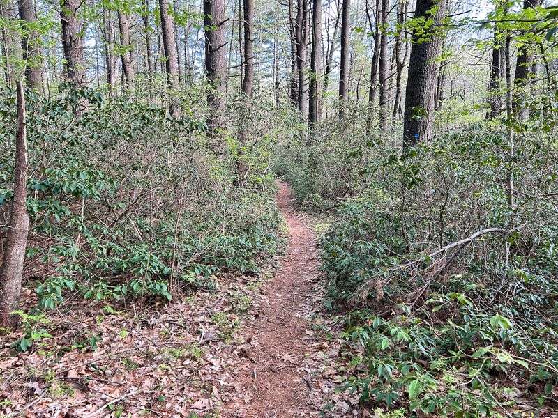 Where the Trailhead Actually Hides Where the Trailhead Actually Hides
