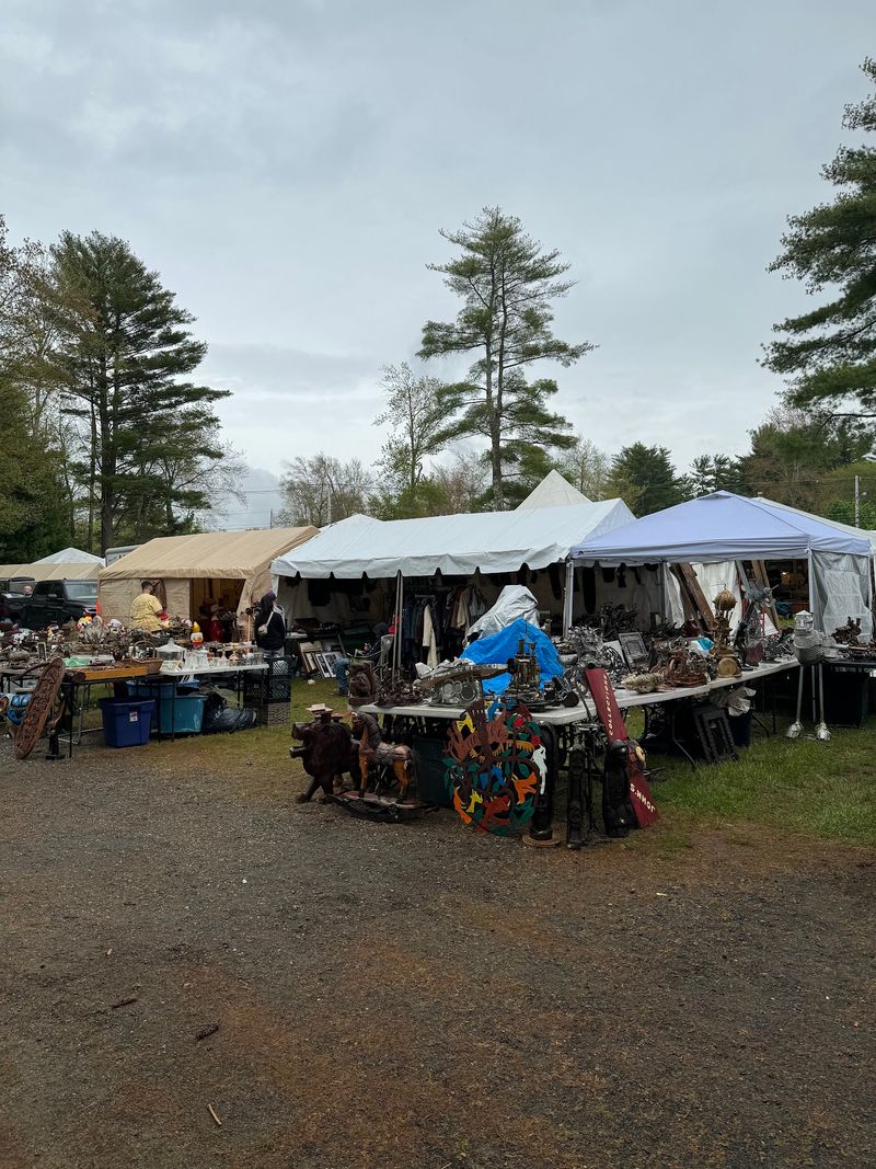 Where the Treasure Hunt Unfolds