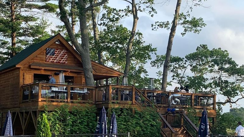 Where the Treehouse Sits by the Pond Where the Treehouse Sits by the Pond