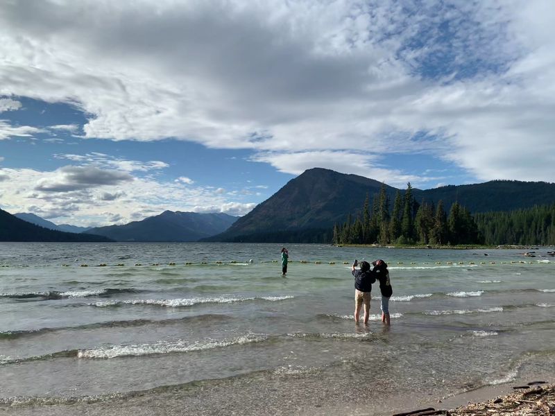Where the Water Meets the Pines at Lake Wenatchee Where the Water Meets the Pines at Lake Wenatchee