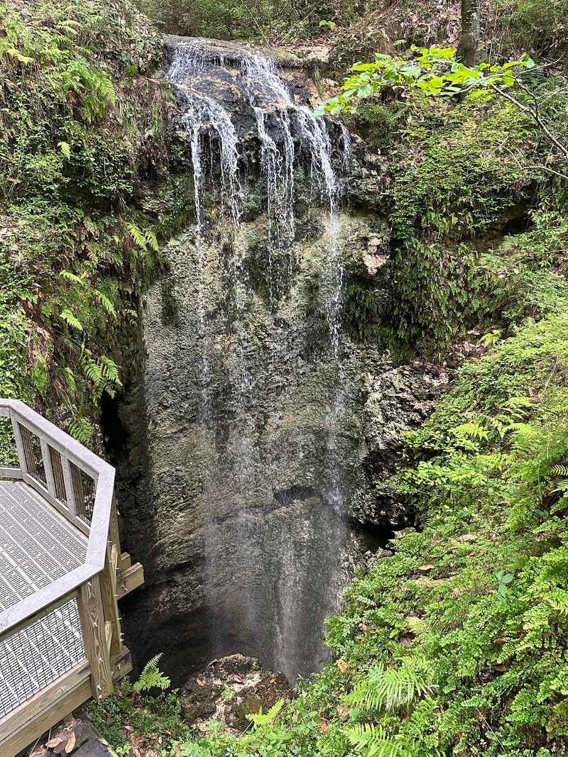 Where the Waterfall Hides in the Panhandle Where the Waterfall Hides in the Panhandle