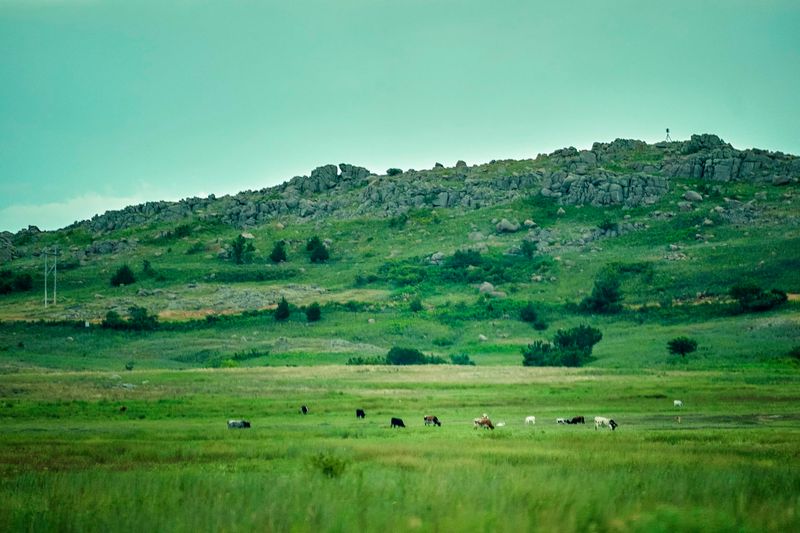 Where the Wichita Mountains Meet the Oklahoma Plains Where the Wichita Mountains Meet the Oklahoma Plains