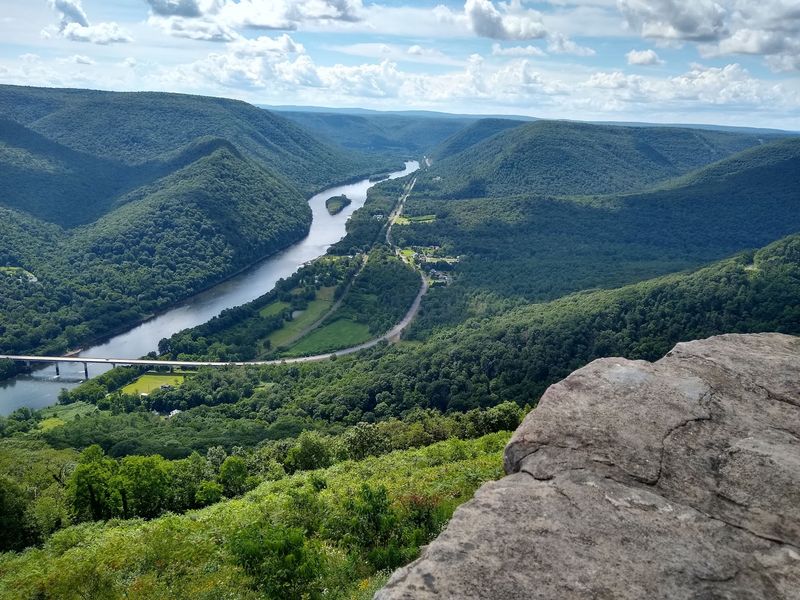 Where the Wild Begins: Location and Scale