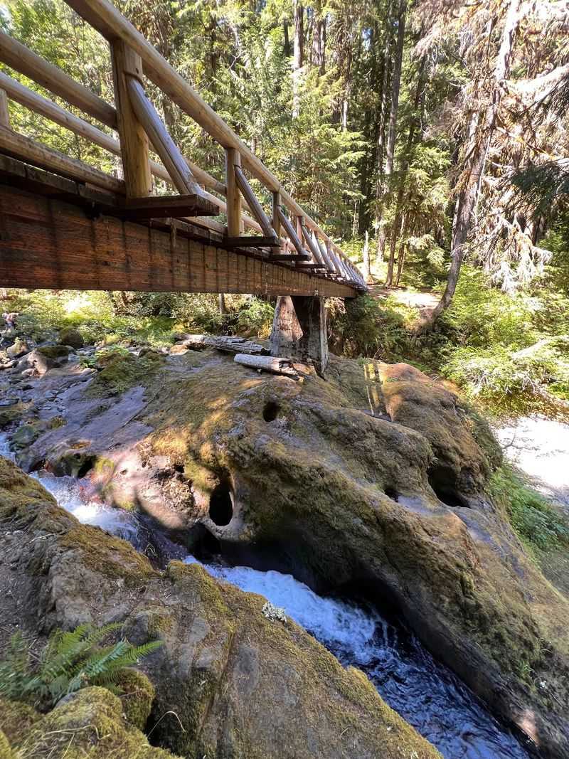 Where to Find This Forest Treasure