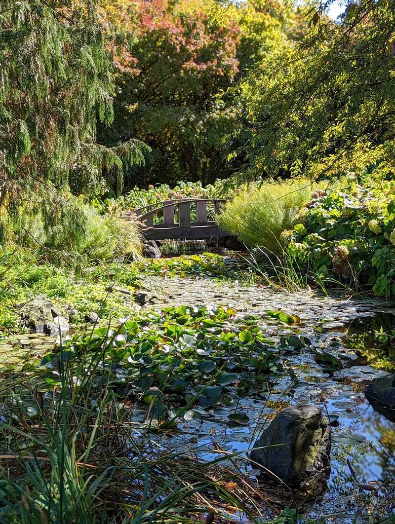 Where to Find This Green Escape Where to Find This Green Escape