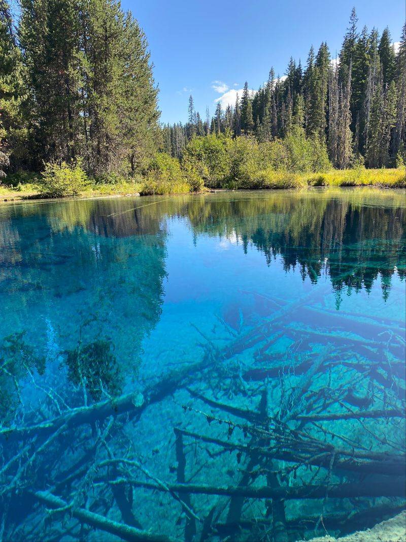 Where to Find This Hidden Spring Pool Where to Find This Hidden Spring Pool