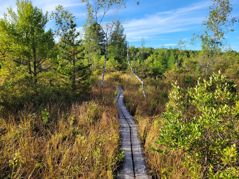 Where to Find the Preserve and How to Get There