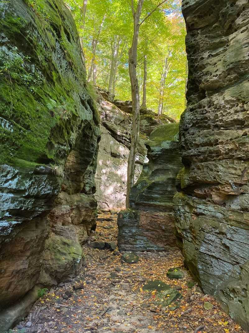 Whipp's Ledges Overlook, Hinckley Reservation Whipp's Ledges Overlook, Hinckley Reservation