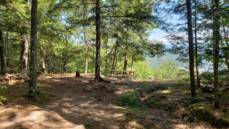 White Mountain Trails and Outdoor Adventures Right Outside Town