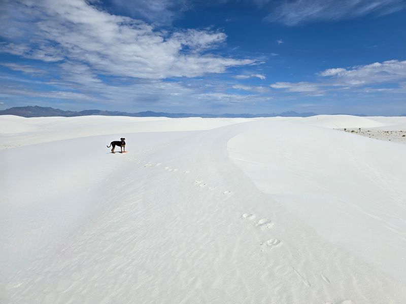 White Sands National Park, New Mexico White Sands National Park, New Mexico