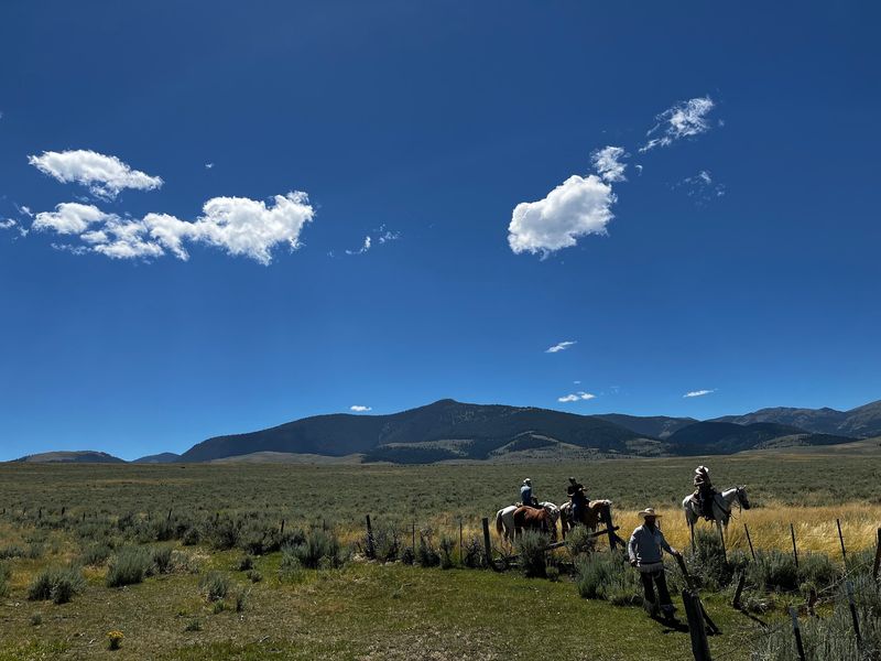 Who Should Book This Trip: Rider Requirements and Expectations Who Should Book This Trip: Rider Requirements and Expectations