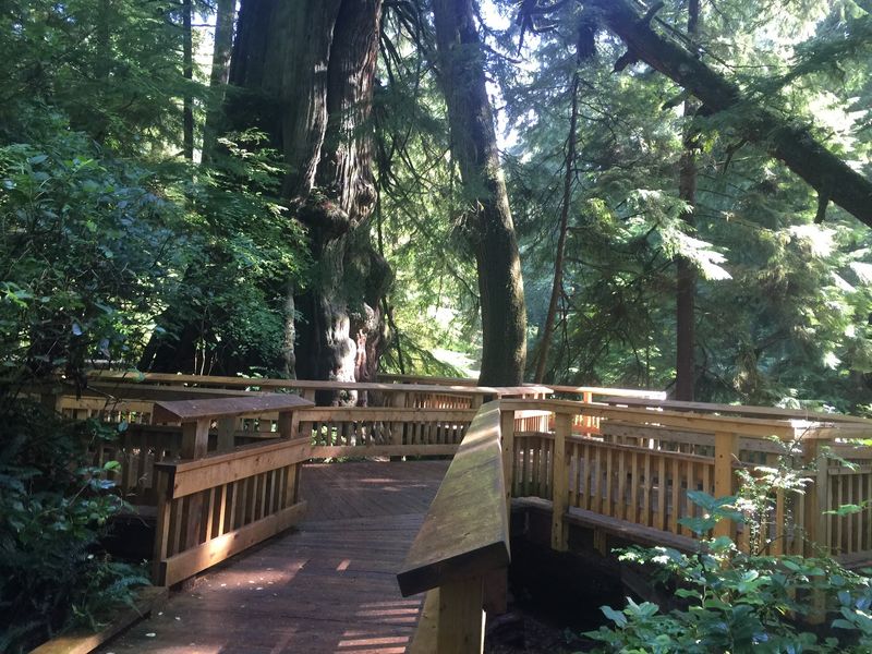 Who This Trail Is Best For Who This Trail Is Best For