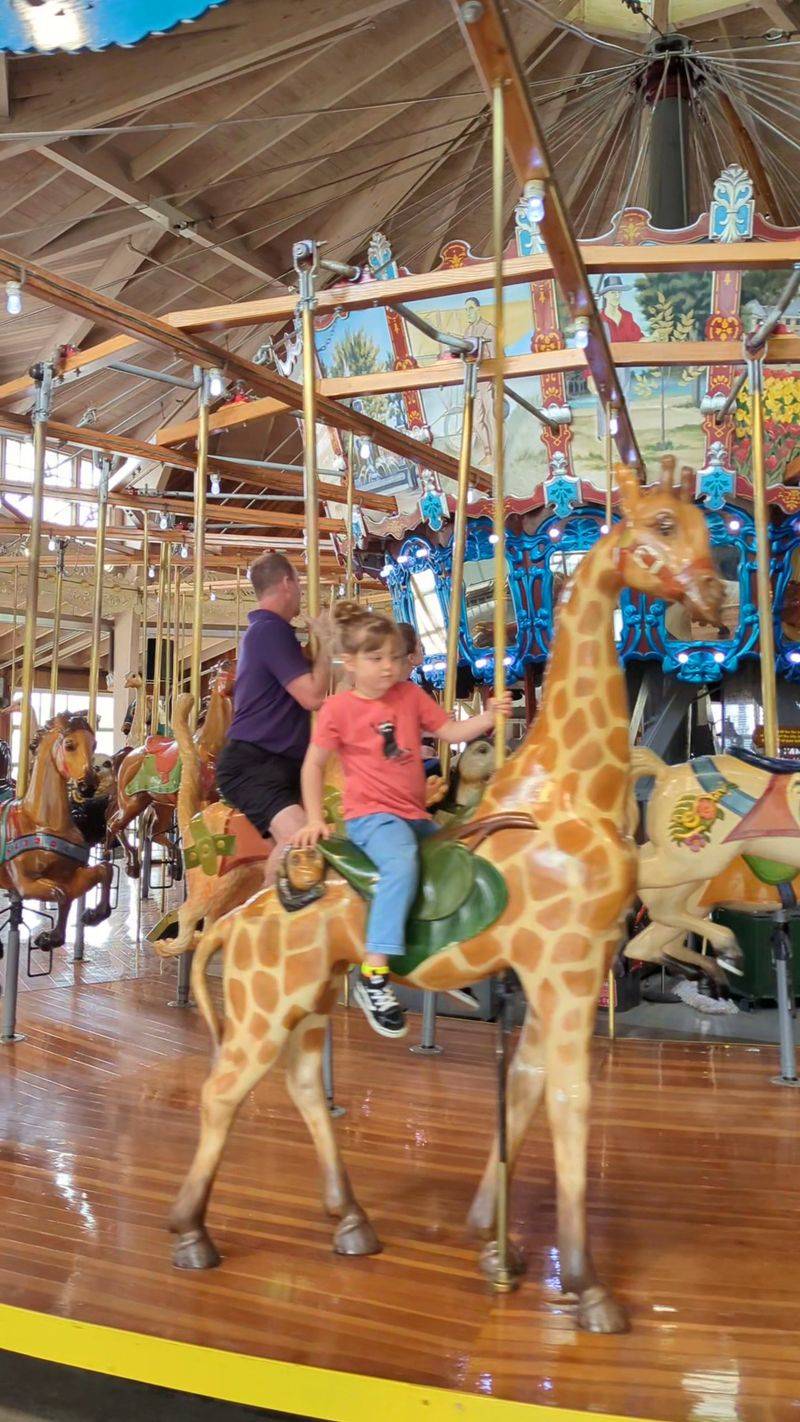 Who the Carousel Works Best For Who the Carousel Works Best For