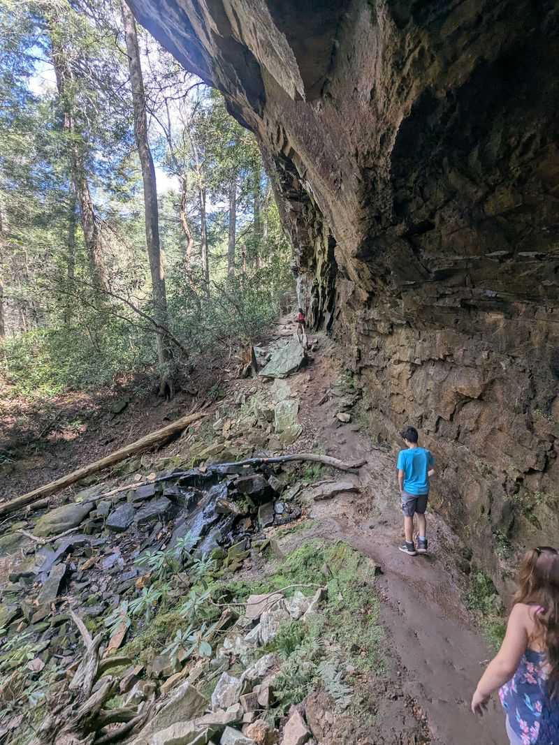 Who the Hike Really Suits Who the Hike Really Suits
