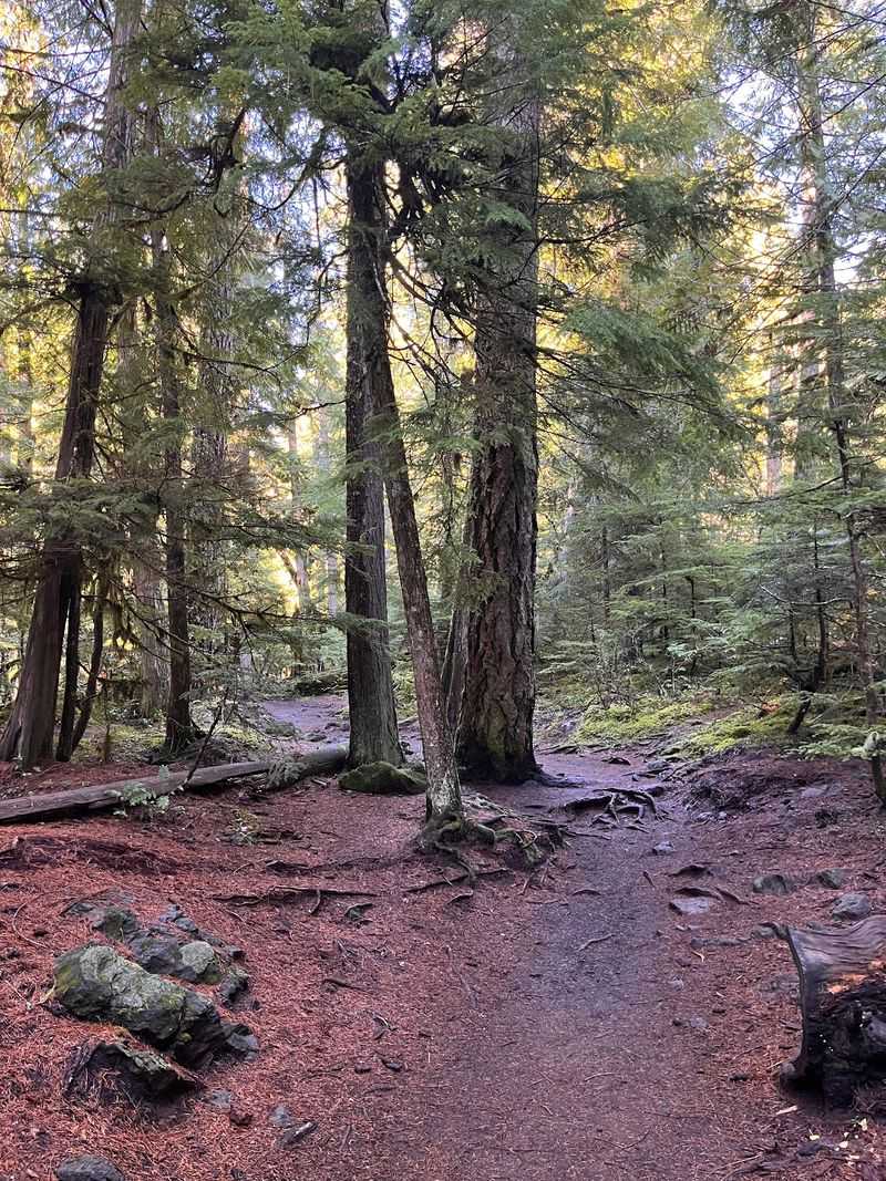 Who the Trail Works Best For Who the Trail Works Best For