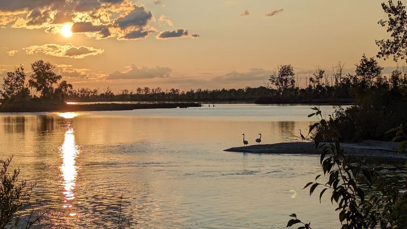 Why Fall Is the Season to Make the Drive