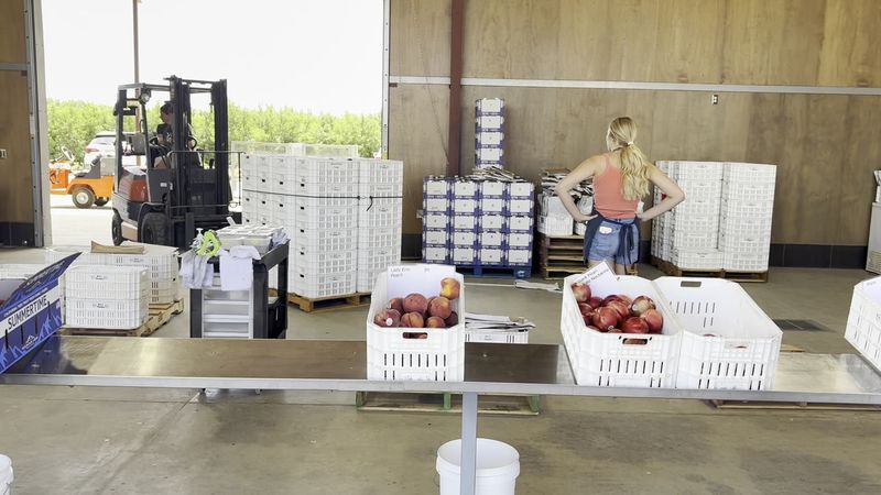 Why Food Lovers Keep Coming Back