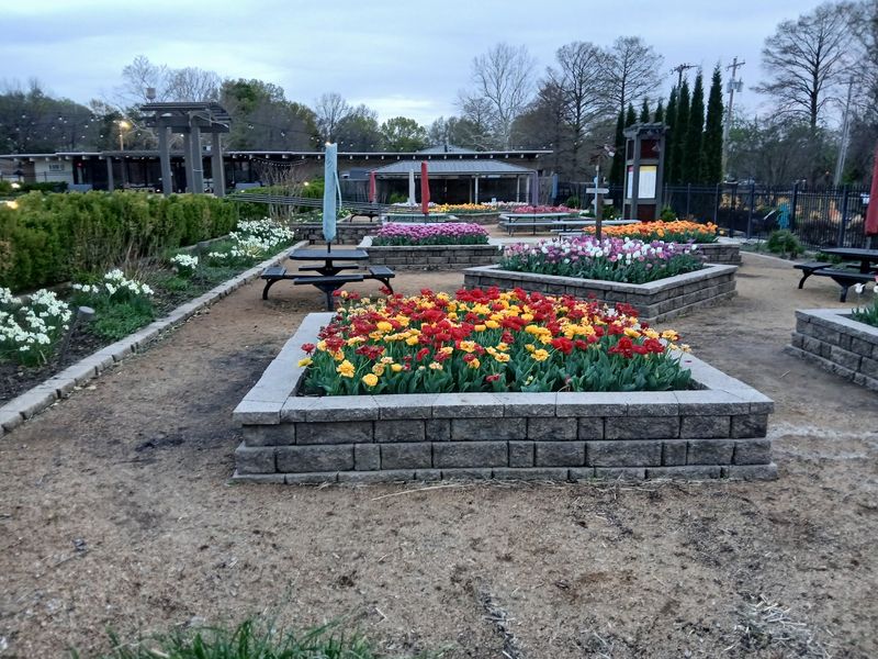 Why Honor Heights Park Deserves a Stop on Your Next Oklahoma Road Trip Why Honor Heights Park Deserves a Stop on Your Next Oklahoma Road Trip