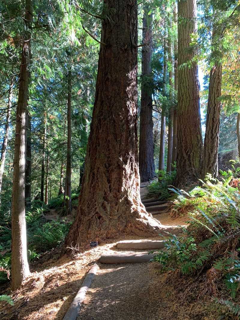 Why Leach Botanical Garden Deserves a Spot on Your Portland List Why Leach Botanical Garden Deserves a Spot on Your Portland List