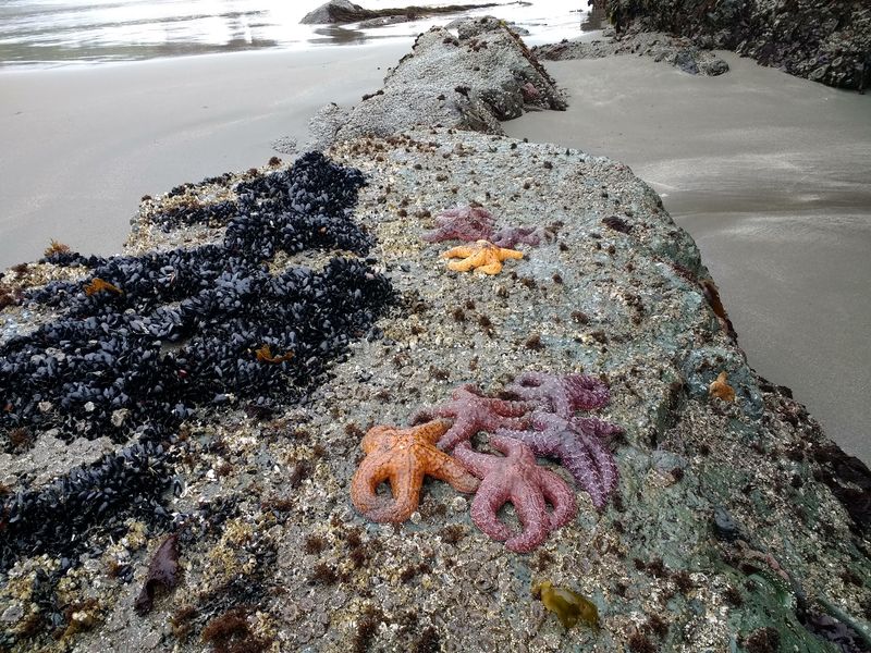 Why Low Tide Changes Everything