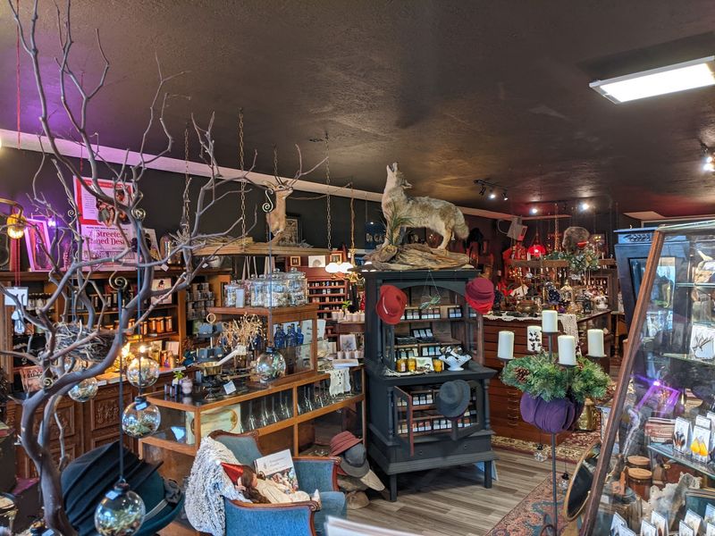 Why Newport Visitors Keep Putting This Shop on Their Must-See List