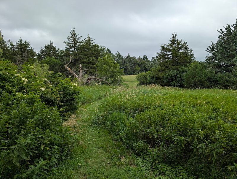 Why Prairie Pines Deserves a Spot on Your Weekend List Why Prairie Pines Deserves a Spot on Your Weekend List