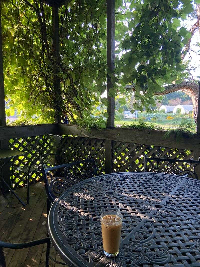 Why Regulars Keep Coming Back
