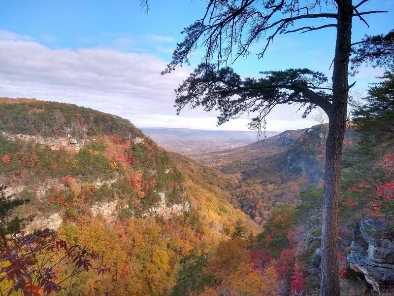 Why This Canyon Keeps Pulling People Back Why This Canyon Keeps Pulling People Back